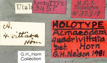 Media type: image;   Entomology 33319 Aspect: labels